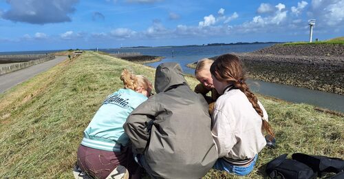 maak kennis met het team